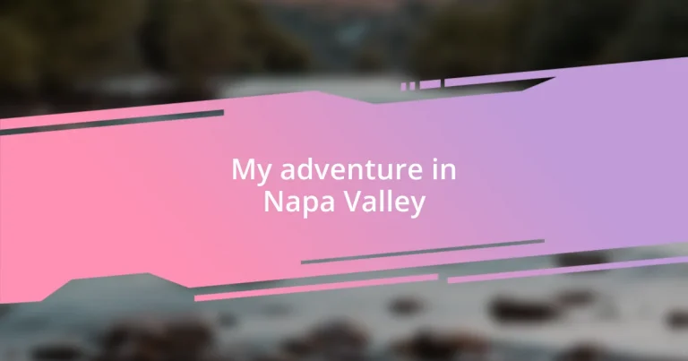 My adventure in Napa Valley