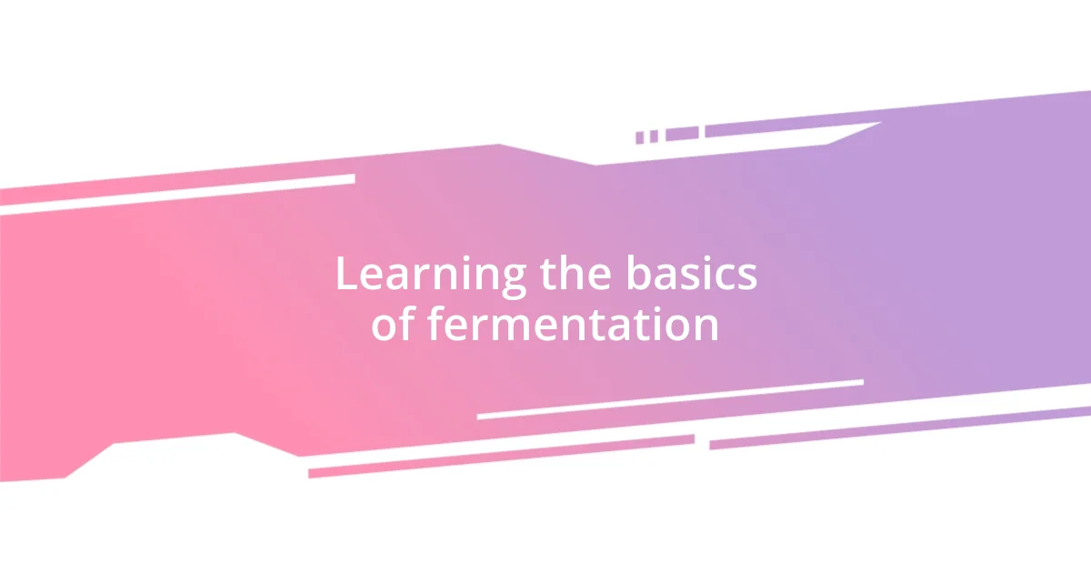 Learning the basics of fermentation